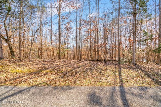 Listing photo 3 for 173 Cedar Point Dr, Kingston TN 37763