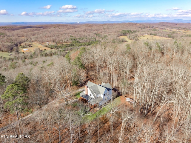 aerial view