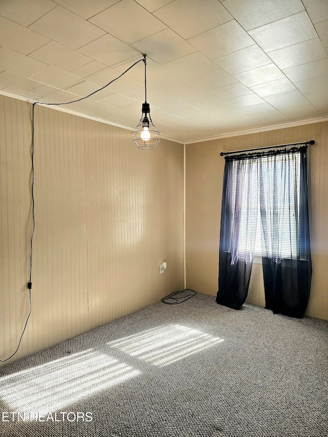 carpeted empty room featuring ornamental molding