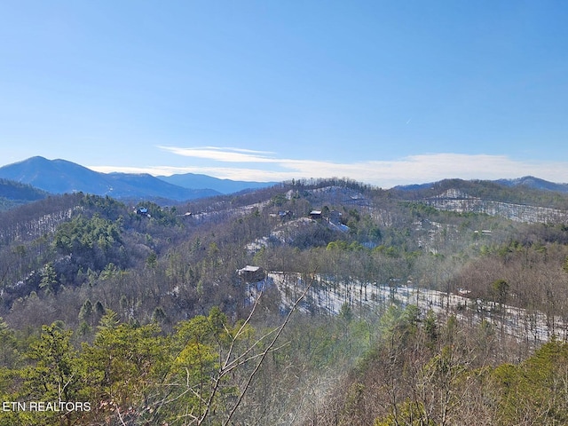 property view of mountains