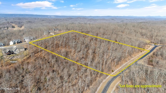 Grand Vista Dr, Rockwood TN, 37854 land for sale