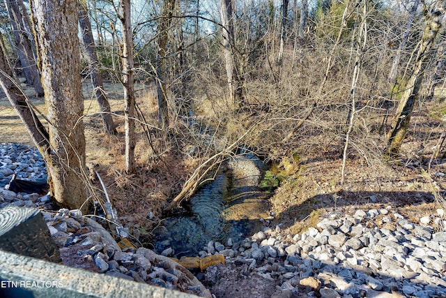 view of nature