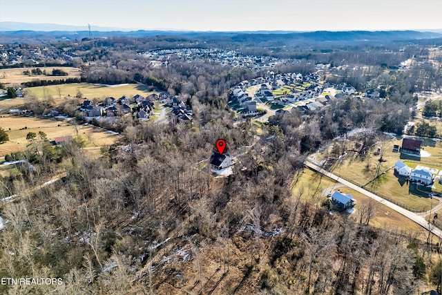 bird's eye view