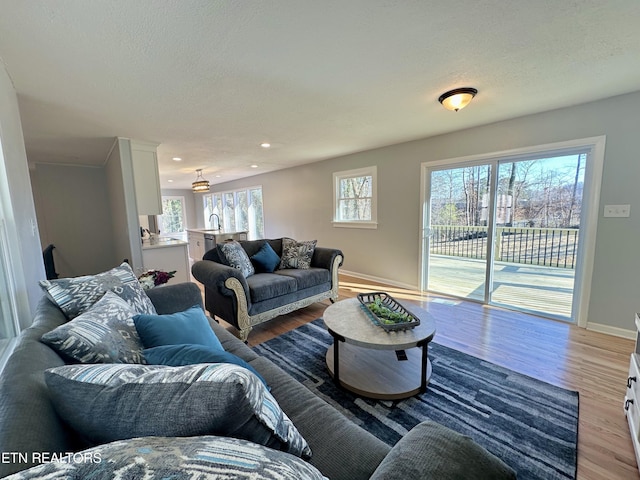 living room featuring hardwood / wood-style floors, sink, and a textured ceiling