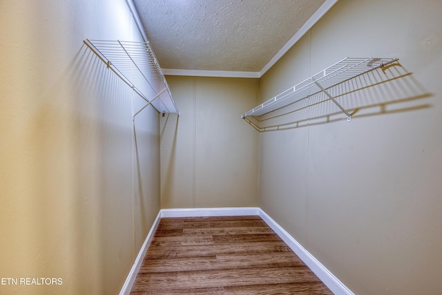 spacious closet with wood-type flooring