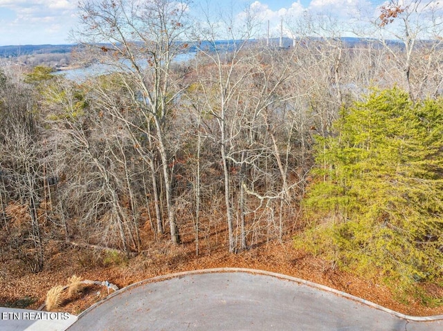 Listing photo 3 for 130 Lakeview Dr, Harriman TN 37748