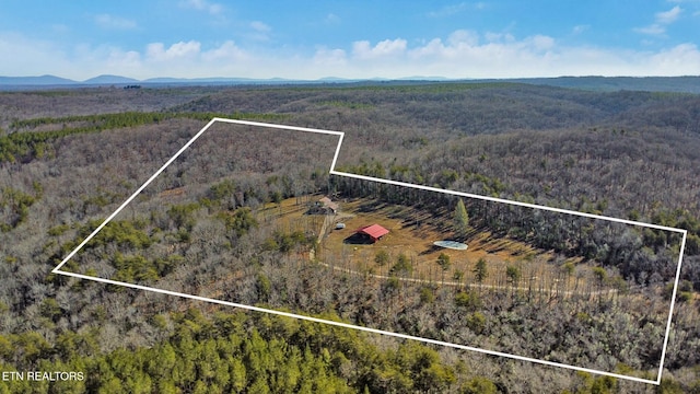 birds eye view of property featuring a mountain view