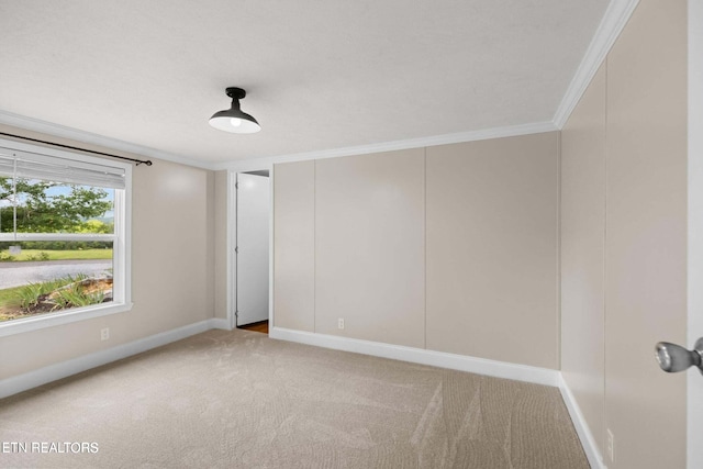 carpeted empty room with ornamental molding