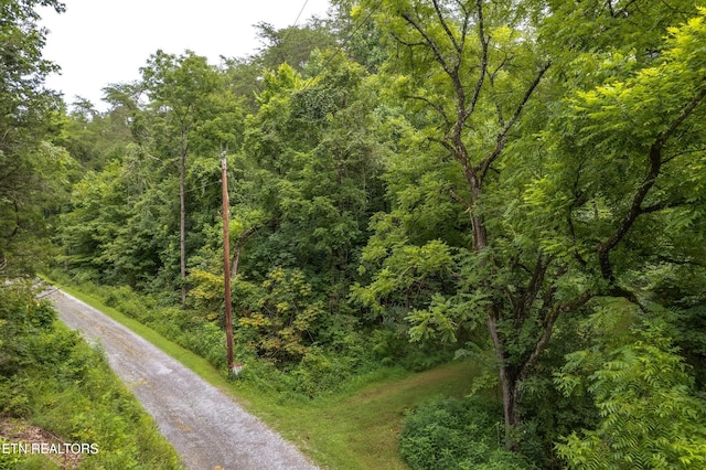 Moon Hollow Rd, Sevierville TN, 37876 land for sale