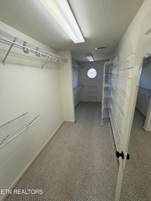 walk in closet with carpet flooring