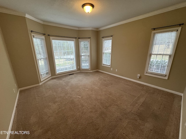 carpeted empty room featuring ornamental molding and a textured ceiling