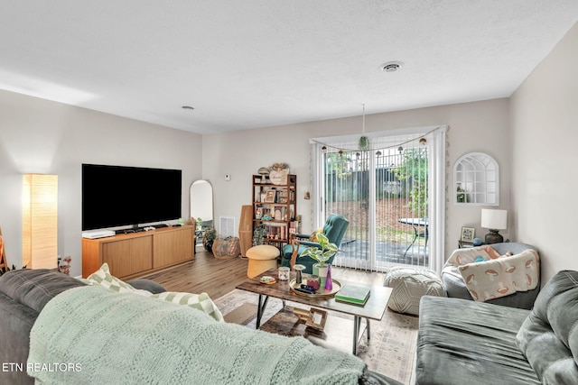 living room with light hardwood / wood-style flooring