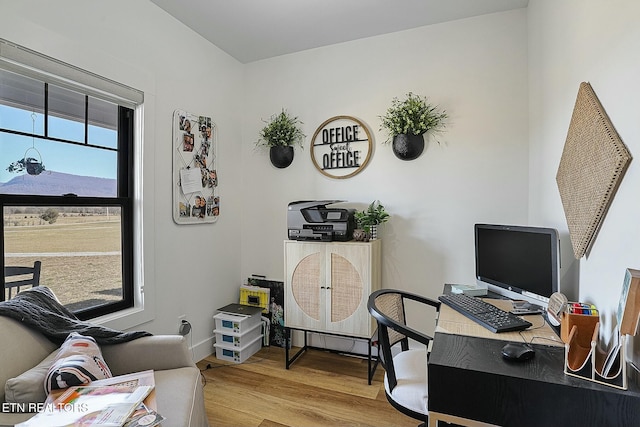 office area featuring wood-type flooring