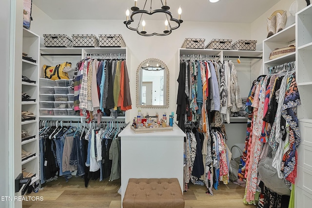 walk in closet with an inviting chandelier and light hardwood / wood-style floors