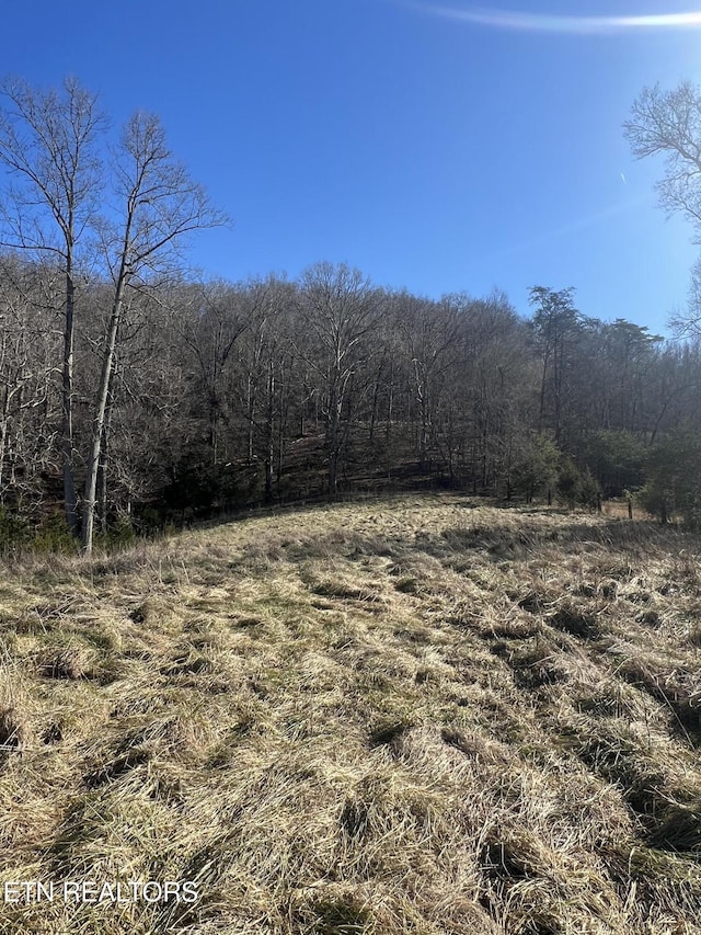 0 W Brushy Valley Dr, Powell TN, 37849 land for sale