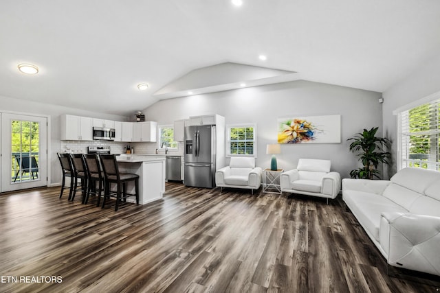 living room featuring lofted ceiling, a wealth of natural light, and dark hardwood / wood-style flooring