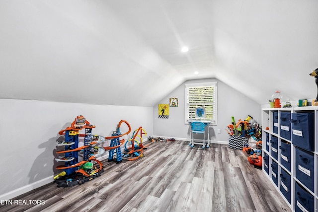 rec room with lofted ceiling and wood-type flooring