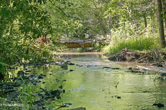 view of water feature