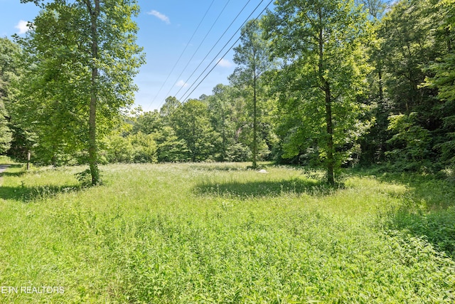 view of landscape