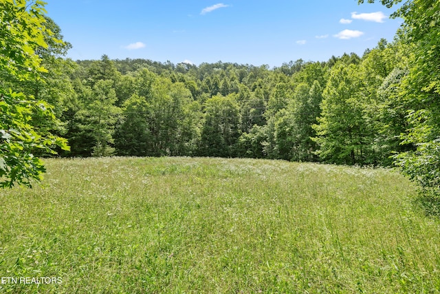 view of local wilderness