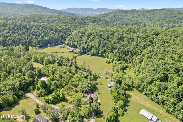 birds eye view of property featuring a mountain view