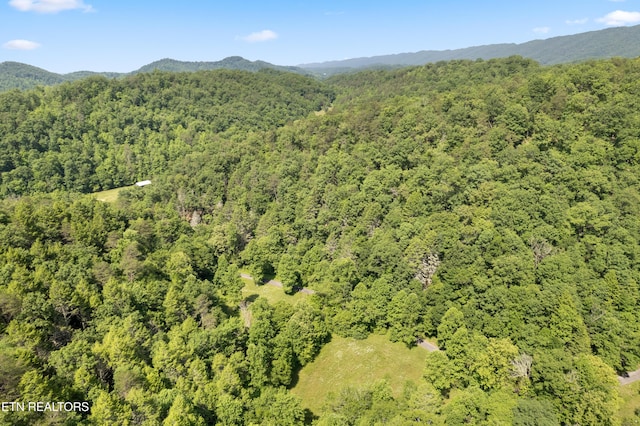 aerial view featuring a mountain view