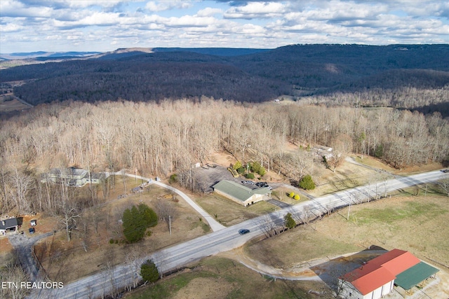 birds eye view of property featuring a mountain view