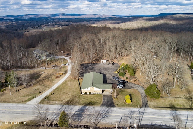 drone / aerial view featuring a mountain view