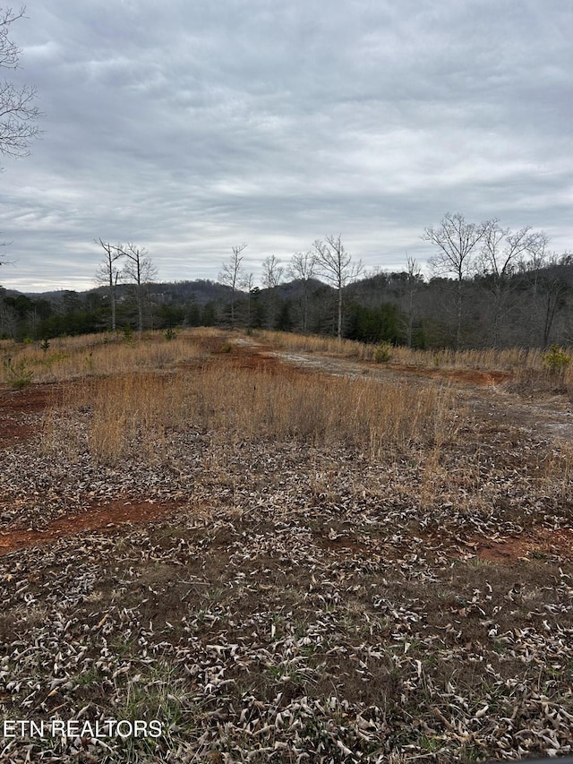 Listing photo 2 for 3 Lots Dr, Madisonville TN 37354