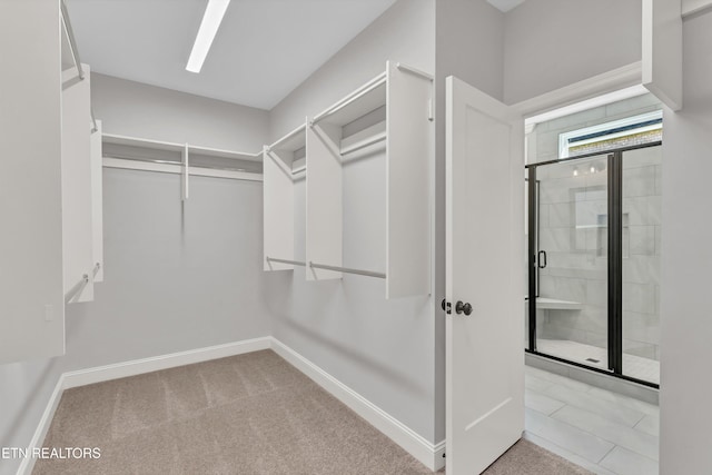 spacious closet featuring light carpet