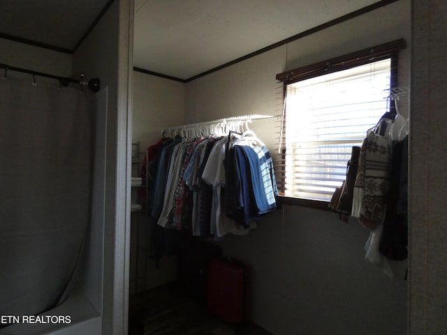 view of spacious closet