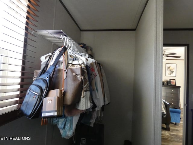 spacious closet with wood-type flooring and ceiling fan