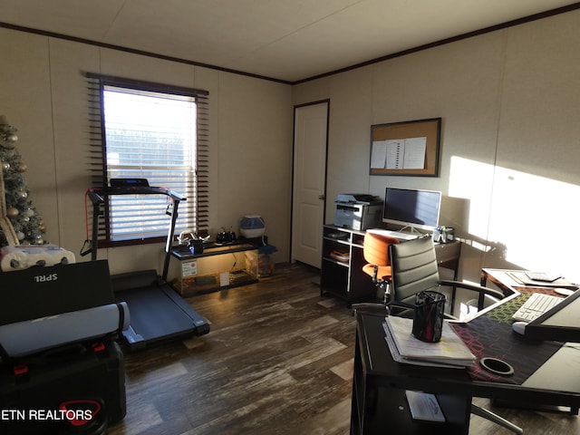 office space with ornamental molding and dark hardwood / wood-style floors