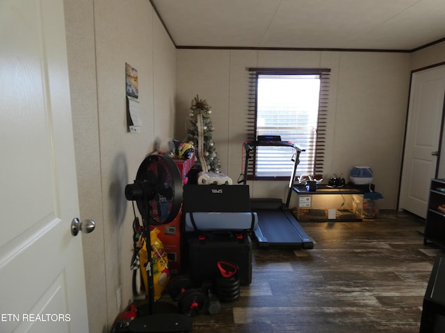 workout area featuring dark hardwood / wood-style flooring and crown molding