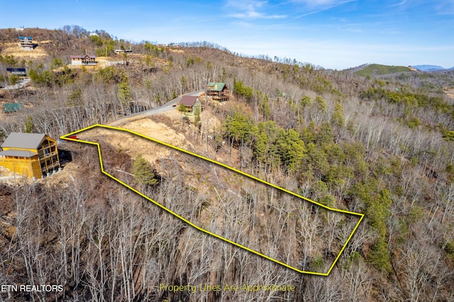 Listing photo 2 for 2861 Indigo Ln, Sevierville TN 37862