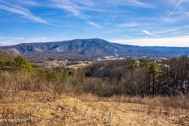 2861 Indigo Ln, Sevierville TN, 37862 land for sale