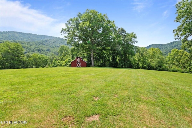 142 Wagon Wheel Ln, Pioneer, TN 37847 - view of green lawn featuring a barn, a view of trees, an outbuilding, and a mountain view
