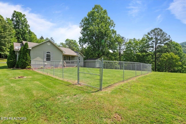 142 Wagon Wheel Ln, Pioneer, TN 37847 - view of yard