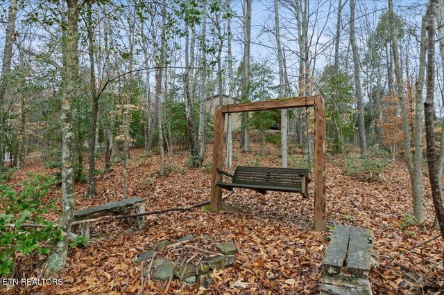 142 Wagon Wheel Ln, Pioneer, TN 37847 - view of home's community