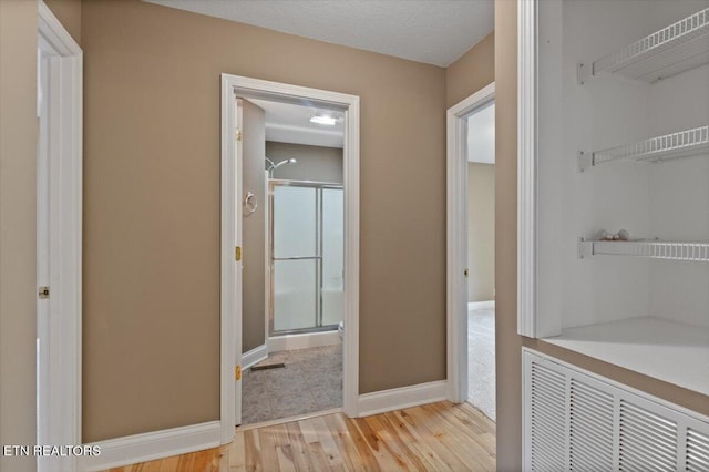 142 Wagon Wheel Ln, Pioneer, TN 37847 - hall with light wood-type flooring and baseboards