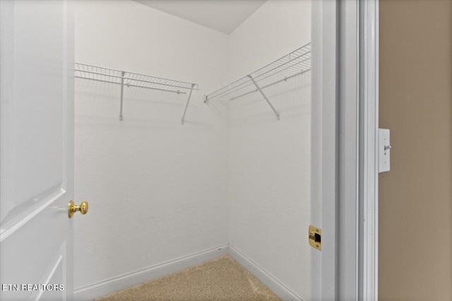 142 Wagon Wheel Ln, Pioneer, TN 37847 - walk in closet with carpet