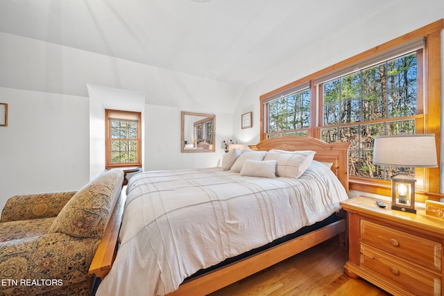 bedroom featuring lofted ceiling and wood-type flooring