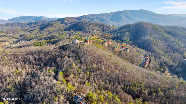 property view of mountains