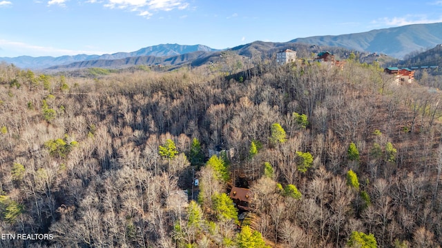 property view of mountains