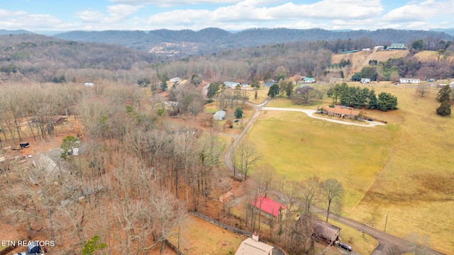 aerial view with a mountain view and a rural view