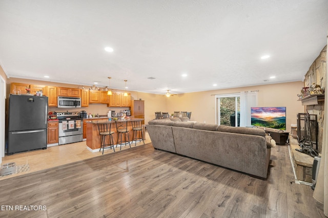 living room featuring a fireplace and light hardwood / wood-style floors