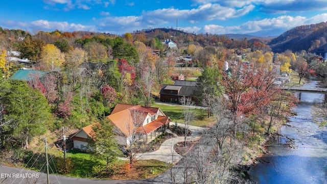 birds eye view of property with a mountain view