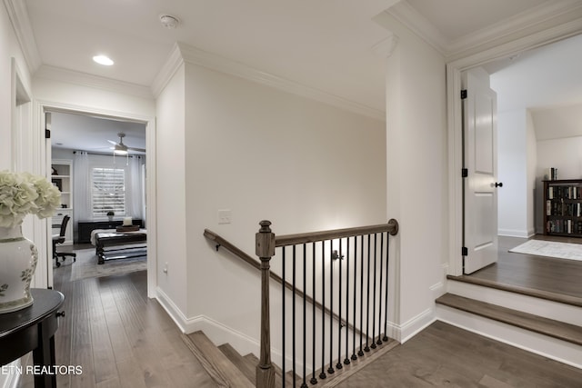 corridor with crown molding and dark hardwood / wood-style floors