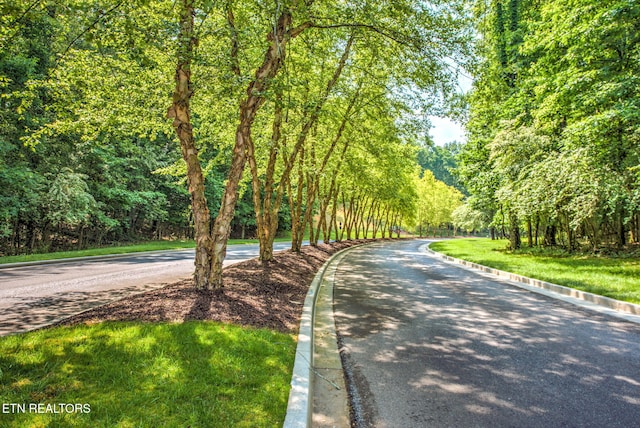 view of road