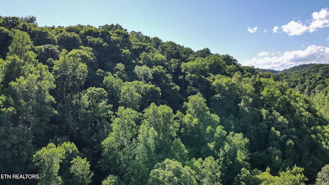 168 County Rd 484, Englewood, TN 37329